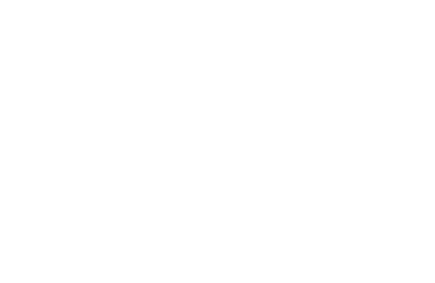 VV Studio